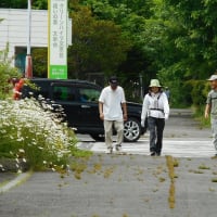 第2回走ろう会例会