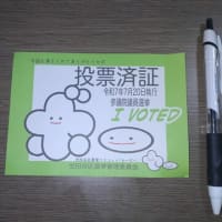 【選挙行け〜‼️】
