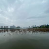 汉江、月湖风景区