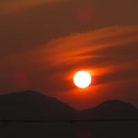 二上山の日の出～北大伴　千早川４　２０２５．７