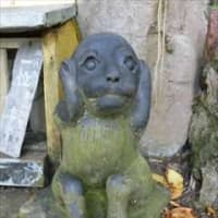 鉛練比古（えれひこ）神社 in 滋賀県長浜市余呉町