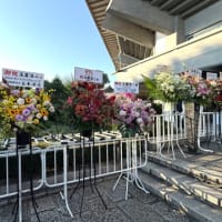 素晴らしいLIVEでした