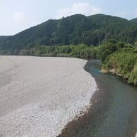 本日の海部川