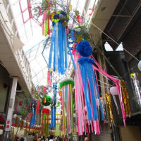 第68回阿佐ヶ谷七夕祭り