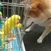 夏休み集合　　たのしいな