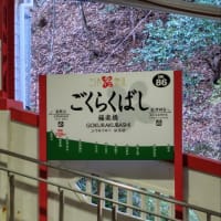 父との旅行 3日目最終日