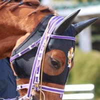 京都優勝∞Santa Evita