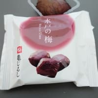 水戸の梅