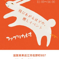 🌼2023年のご案内🌼