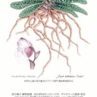 安江 梅子　植物画展