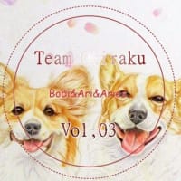 やばいぞ！桜がさいてまうし～、、、