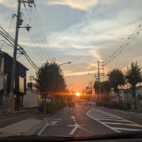 サロンの音楽