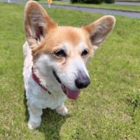 関西万博行ってきたよ　その6
