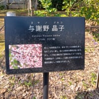 与謝野晶子