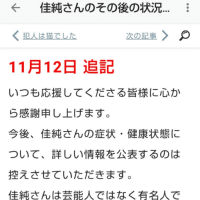 未来の追記と黒歴史と管理代行