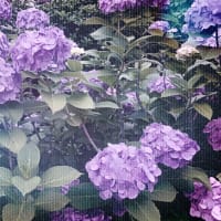元気でいる、いたい、いてほしい。