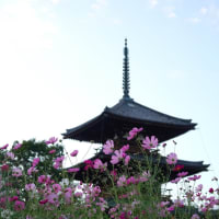 億劫なはなし