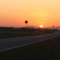 今日は病院へ。