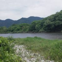 6月末の解禁日前に23日と25日に北越三面川の河川状態川見ですよー❕何とか期待したいねー❕❓
