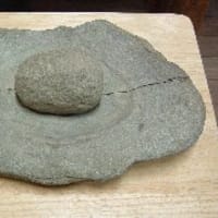 縄文時代・縄文人の食生活