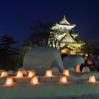 2月の休診のお知らせ