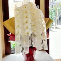 お寿司屋様の十周年お祝いに