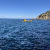 セントカタリナ島４
