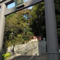 日枝神社～希州林