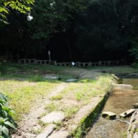 御朱印紀行 ① ～高良大社～   味水御井神社