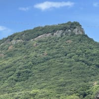 日陰探して、ウオーキング！