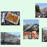 今年も上野でお花見～