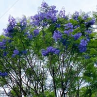 好きな事を詰め込んだ日☆