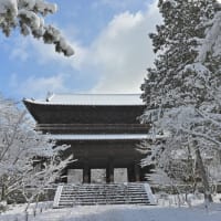 雪の京都に雪の京都に