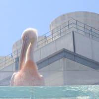 サンシャイン水族館とカメラの話