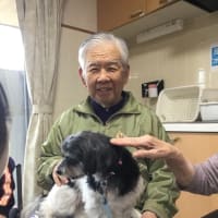 ハローアニマル🐕