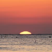小池の夕陽