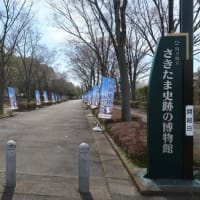 埼玉県立さきたま史跡の博物館