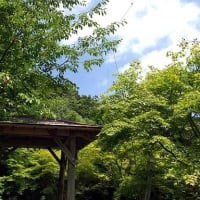 兵庫県丹波篠山市（JCC 2731）移動運用報告