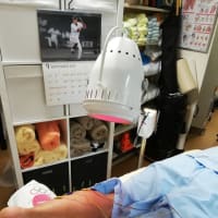 「箱根駅伝予選会が終わりました」