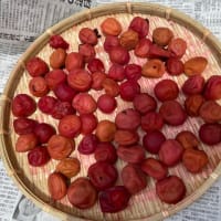 7月１９日　土用の丑の日