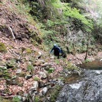 那珂川水系、箒川・赤川本谷