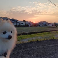 ６月予定