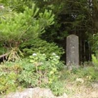小谷城懐古 in 滋賀県長浜市湖北町