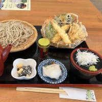 通院ついでに木島平村の美味しい蕎麦を食べに行った