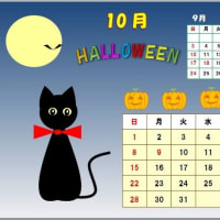 忙しすぎてヒマしてる