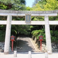 京都 青モミジ100シリーズの大原野神社