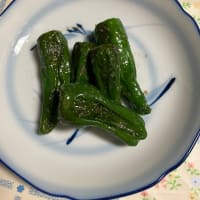 シシトウ初収穫