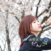 はなよりだんご
