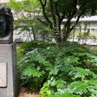 芸大　音楽学部モーニングコンサート　２