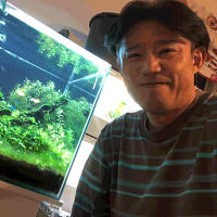 年内最後の作業は水槽掃除！